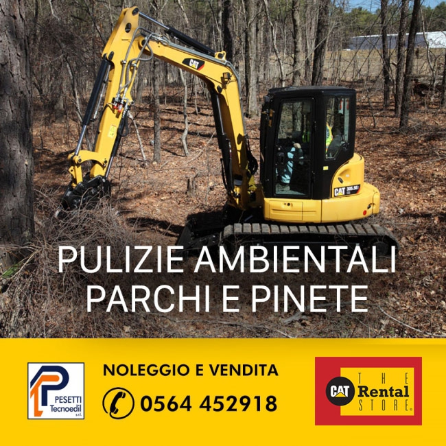 miescavatore-cat-305-noleggio-vendita-grosseto-pesetti-tecnoedil-pulizie-ambientali-pineta-parchi